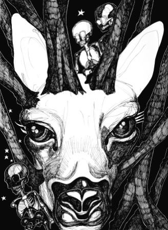 Rozemarijn  Westerink