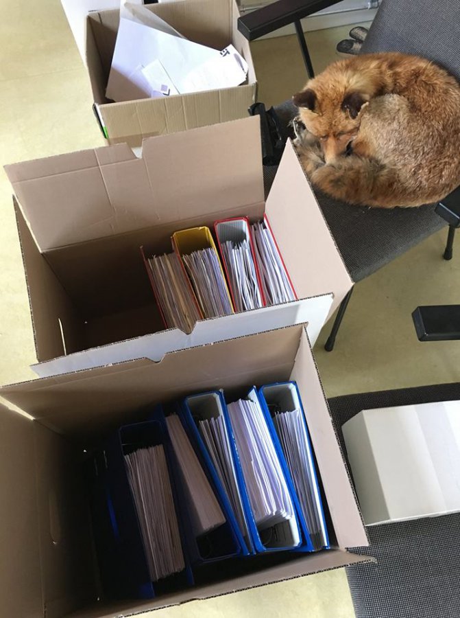 Plaatsmaken gesloten i.v.m. dakrenovatie