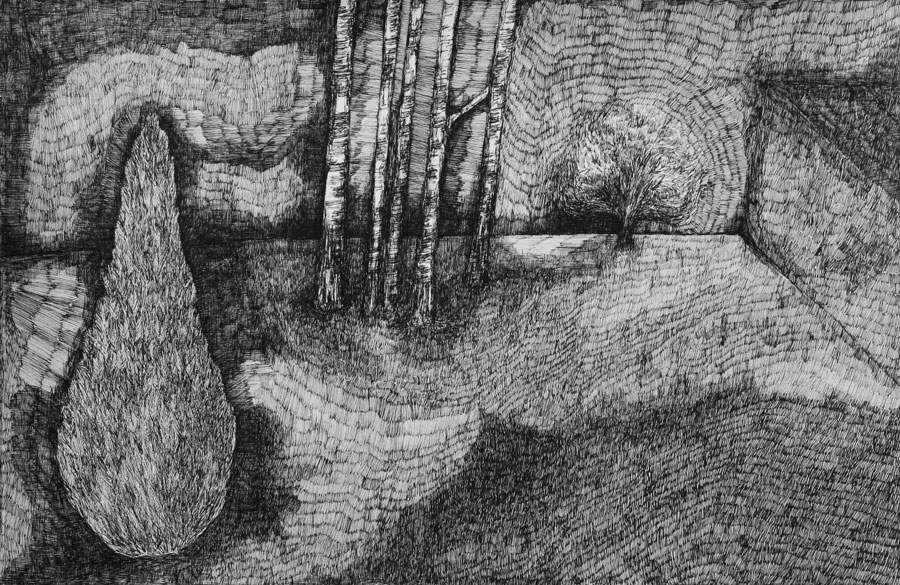 Rozemarijn Westerink | Cascade 