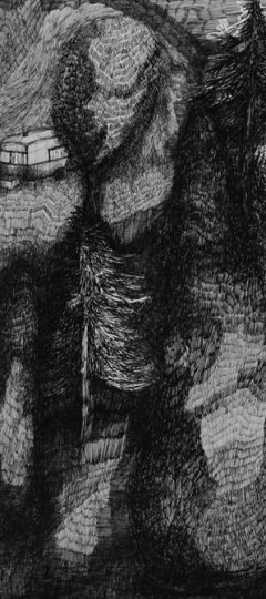 Rozemarijn Westerink | Cascade 