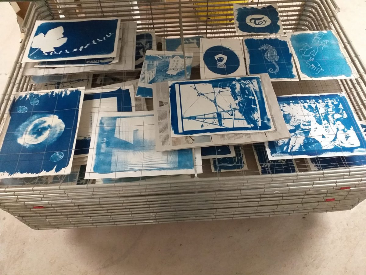 Cyanotypie (blauwdruk)