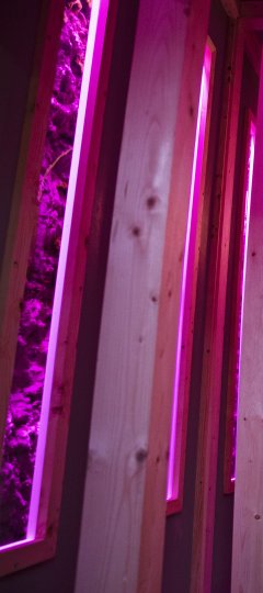 Biënnale Gelderland: Seelenwanderung 