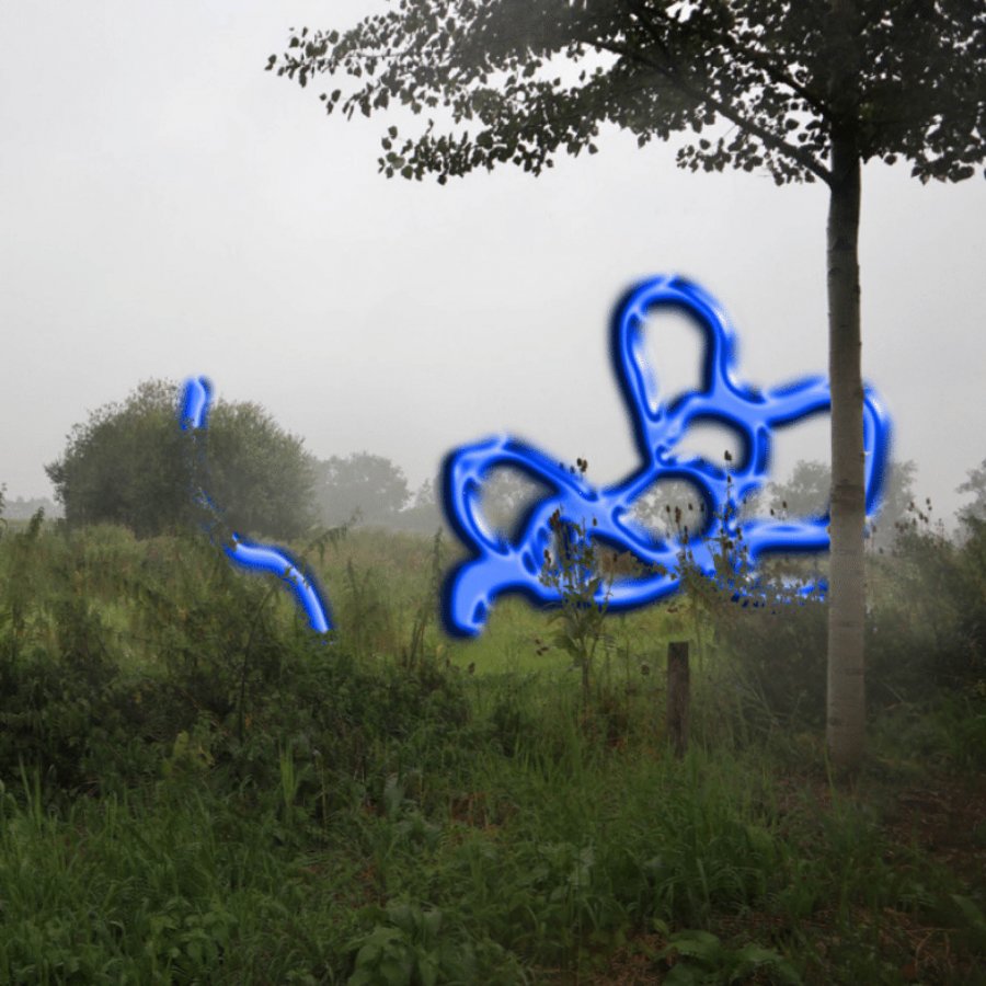 Kunstroute Schuytgraaf: Arash Fakhim