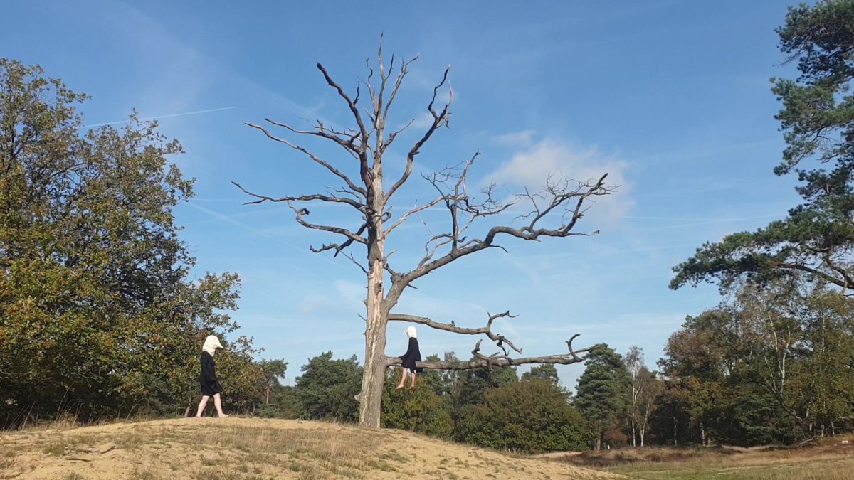 Soortgelijk | Dergelijk | Diergelijk