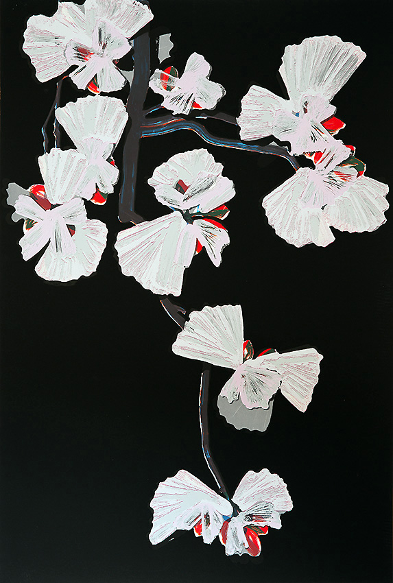 Appelbloesem Zwart in de Nacht