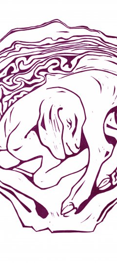 Merlijne Marell – Guichelheil